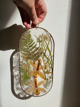 Load image into Gallery viewer, Small Capsule Wall Decor- Unique wooden frame, Capsule shaped, real pressed flowers