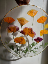 Load image into Gallery viewer, Large California Poppy wall hanging, 10 inches in diameter, clear background, california wildflower