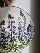 Load image into Gallery viewer, Large California lupine wall hanging, 10 inches in diameter, clear background, california wildflower