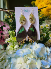 Load image into Gallery viewer, Spring Butterfly Collection- Dark green Wings with fern top