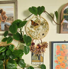 Load image into Gallery viewer, Large Monarch Butterfly Garden wall hanging, 10 inches in diameter, clear background, golden sun