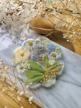 Load image into Gallery viewer, Single flower coaster, spring Daisy, real pressed flower in resin, FDA food safe resin