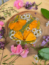 Load image into Gallery viewer, Single California Poppy Coaster, real pressed flower in resin, FDA food safe resin