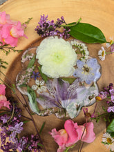 Load image into Gallery viewer, Spring purple flower Coaster, real pressed flower in resin, FDA food safe resin