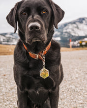 Load image into Gallery viewer, Large Dog Tag-hexagon, square and round