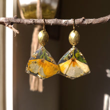 Load image into Gallery viewer, California poppy earrings, real pressed flower in resin, dark background, brass bezel