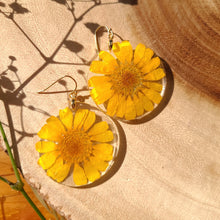 Load image into Gallery viewer, Boston daisy earring, real pressed flower in resin, mustard yellow, sunshine earring