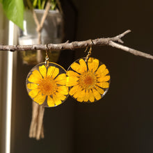 Load image into Gallery viewer, Boston daisy earring, real pressed flower in resin, mustard yellow, sunshine earring