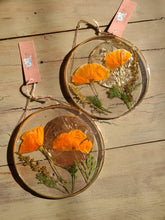 Load image into Gallery viewer, Golden California poppy, Resin wall hangings, 6 inch round wall decor