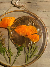 Load image into Gallery viewer, Golden California poppy, Resin wall hangings, 6 inch round wall decor