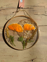 Load image into Gallery viewer, Golden California poppy, Resin wall hangings, 6 inch round wall decor