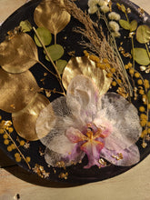 Load image into Gallery viewer, Orchid Resin wall hangings, black background, 7 inch wall decor