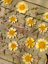 Load image into Gallery viewer, Yellow Daisy Tray, charcuterie board,12 inches x 10 inches, metal twig handle, made with FDA food safe resin