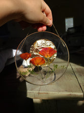 Load image into Gallery viewer, California Wildflower Resin wall hangings, 7 inches in diameter, clear background