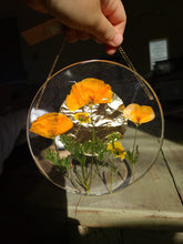 Load image into Gallery viewer, California Wildflower Resin wall hangings, 7 inches in diameter, clear background