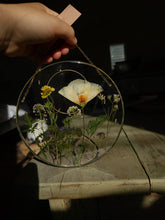 Load image into Gallery viewer, California Wildflower Resin wall hangings, 7 inches in diameter, clear background