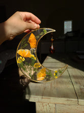 Load image into Gallery viewer, Large California Poppy Resin wall hangings, 8 inches, amber crystal, clear background, california wildflower