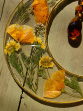 Load image into Gallery viewer, Large California Poppy Resin wall hangings, 8 inches, amber crystal, clear background, california wildflower