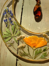 Load image into Gallery viewer, Large California Poppy /Lupine Resin wall hangings, 8 inches wide x10 inches tall, amber crystal, clear background, california wildflower