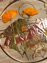 Load image into Gallery viewer, Mountain range Resin wall hangings, 7 inches in diameter, clear background, california wildflower