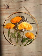 Load image into Gallery viewer, California Wildflower Resin wall hangings, 7 inches in diameter, clear background