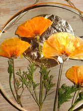 Load image into Gallery viewer, California Wildflower Resin wall hangings, 7 inches in diameter, clear background