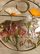 Load image into Gallery viewer, Mountain range Resin wall hangings, 7 inches in diameter, clear background, california wildflower