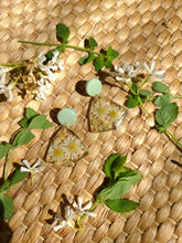 Load image into Gallery viewer, Summer Daisy with clay stud top, stainless steel post