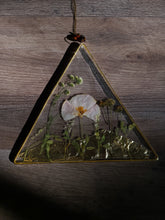 Load image into Gallery viewer, California Poppy Wall Hanging, Golden Triangle, Gold Mountains, Amber Gem