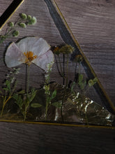 Load image into Gallery viewer, California Poppy Wall Hanging, Golden Triangle, Gold Mountains, Amber Gem