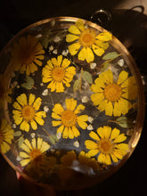 Load image into Gallery viewer, Round Boston Daisy Clutch, resin clutch, removable golden crossbody chain, 7 inches in diameter