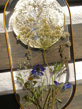 Load image into Gallery viewer, Wall Decor- Unique wooden frame, Large capsule shaped, real pressed flowers
