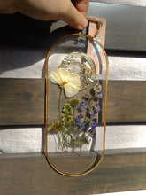Load image into Gallery viewer, Lupine Gaden Wall Decor- Unique wooden frame, Capsule shaped, real pressed flowers