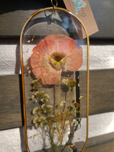 Load image into Gallery viewer, Iceland Poppy Wall Decor- Unique wooden frame, Capsule shaped, real pressed flowers