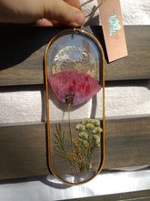 Load image into Gallery viewer, Small Iceland Poppy Wall Decor- Unique wooden frame, Capsule shaped, real pressed flowers