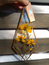 Load image into Gallery viewer, Cosmos Flower Wall Decor- Unique wooden frame, real pressed flowers