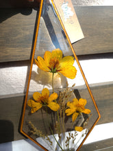 Load image into Gallery viewer, Cosmos Flower Wall Decor- Unique wooden frame, real pressed flowers