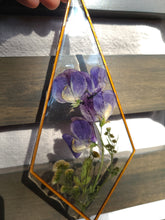 Load image into Gallery viewer, Sweet Pea Wall Decor- Unique wooden frame, real pressed flowers