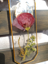 Load image into Gallery viewer, Iceland Poppy Wall Decor- Unique wooden frame, real pressed flowers