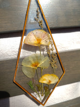 Load image into Gallery viewer, Wall Decor- Unique wooden frame, real pressed flowers