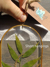 Load image into Gallery viewer, Lupine Gaden Wall Decor- Unique wooden frame, Capsule shaped, real pressed flowers