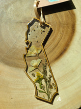 Load image into Gallery viewer, Holiday Ornament- California Coast with pressed poppy