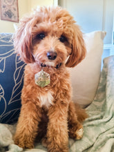 Load image into Gallery viewer, Large Dog Tag-hexagon, square and round