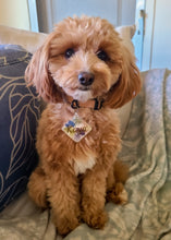 Load image into Gallery viewer, Large Dog Tag-hexagon, square and round