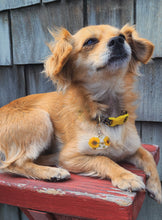 Load image into Gallery viewer, Small Dog tags- 1 inch sizes