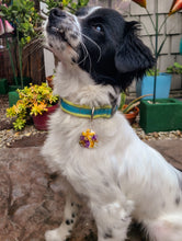 Load image into Gallery viewer, Small Dog tags- 1 inch sizes