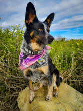 Load image into Gallery viewer, Large Dog Tag-hexagon, square and round