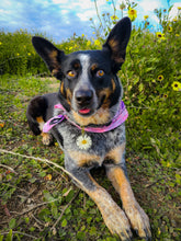 Load image into Gallery viewer, Large Dog Tag-hexagon, square and round