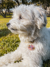Load image into Gallery viewer, Small Dog tags- 1 inch sizes