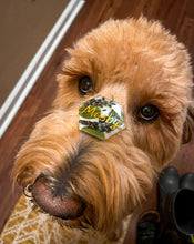 Load image into Gallery viewer, Large Dog Tag-hexagon, square and round
